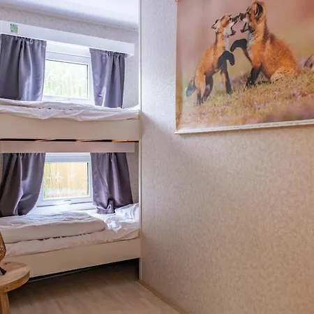 Chalet 6p Bath-garden House-4g Pool-kids-dog Hoenderloo