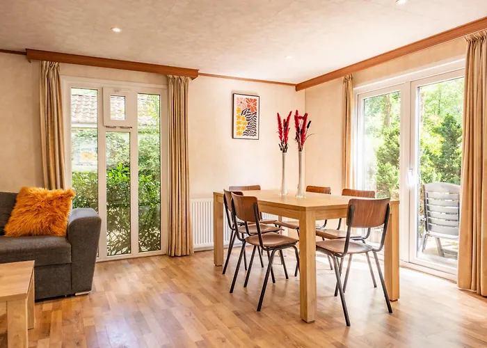 Chalet 6p Bath-garden House-4g Pool-kids-dog Hoenderloo