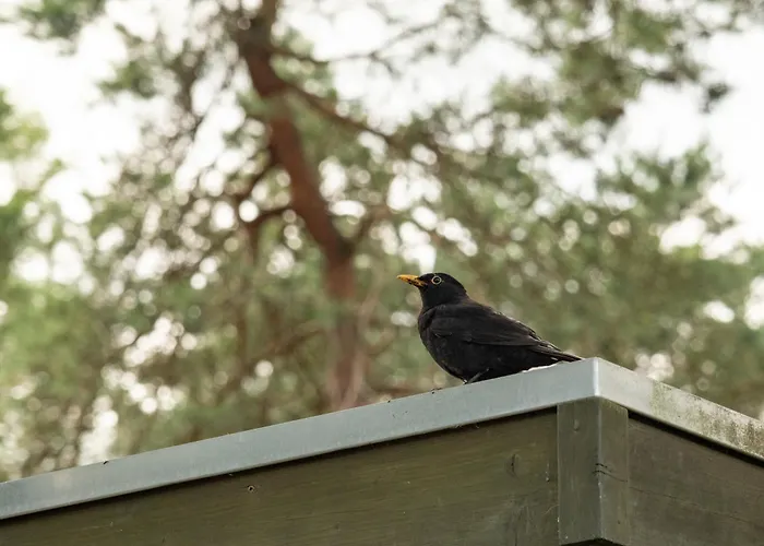 6p Bath-garden House-4g Pool-kids-dog Alpehytte