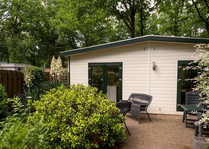 6p Bath-garden House-4g Pool-kids-dog Hoenderloo